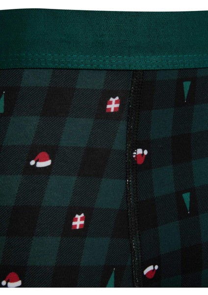 Erkek Yılbaşı Temalı Boxer E0043AX24CW fiyatları