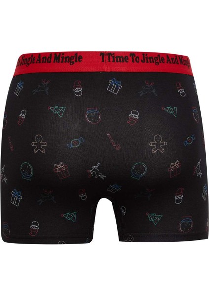 Erkek Yılbaşı Temalı Boxer E0042AX24CW fiyatları