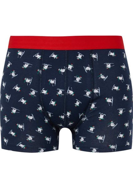 Erkek Yılbaşı Temalı Boxer E0040AX24CW