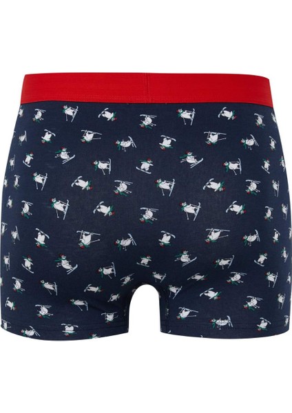 Erkek Yılbaşı Temalı Boxer E0040AX24CW fiyatları