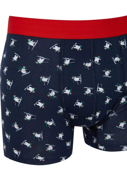 Erkek Yılbaşı Temalı Boxer E0040AX24CW modelleri