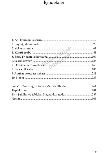 Kariyer ve Aile Kadınların Yüzyıllık Eşitlik Yolculuğu - Claudia Goldin
