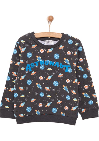 Basic Az Şardonlu Aslan Desenli Sweatshirt Erkek Bebek