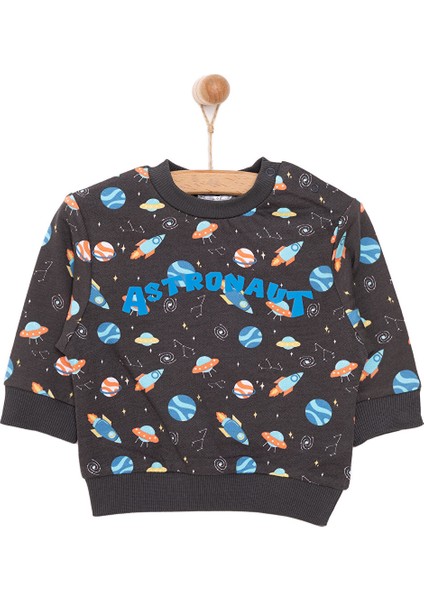 Basic Az Şardonlu Aslan Desenli Sweatshirt Erkek Bebek