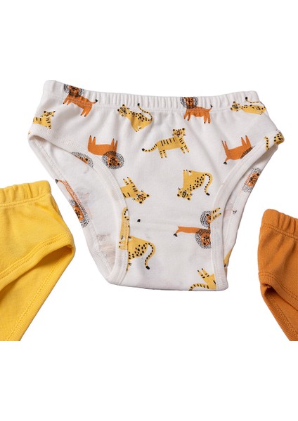 Erkek Bebek 3lü Slip Külot