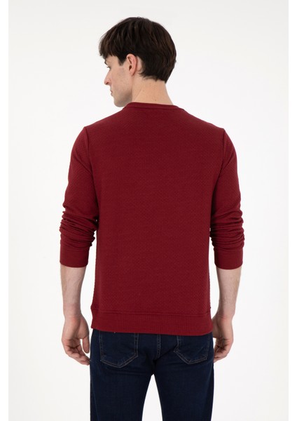 U.S. Polo Assn. Erkek Bordo Sweatshirt 50290063-VR014