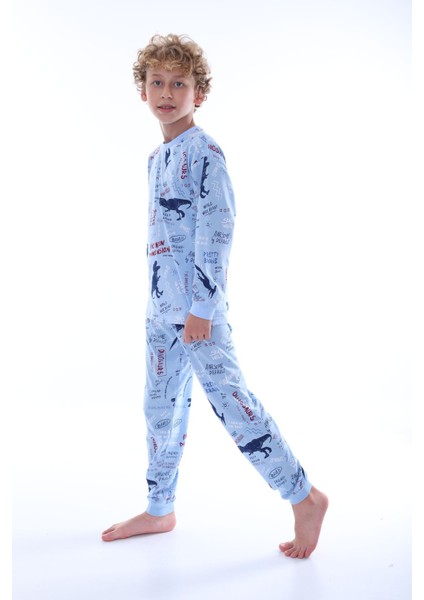 Dinazor Baskılı Erkek Çocuk Pijama Takımı fiyatları