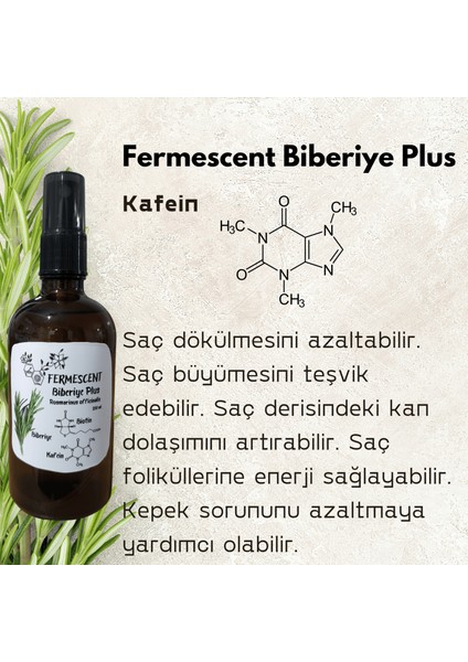 Biberiye Plus - Biberiye - Biotin - Kafein - Premium Saç Bakımı - Dökülme Karşıtı - 100 ml