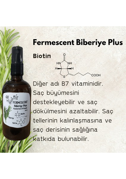 Biberiye Plus - Biberiye - Biotin - Kafein - Premium Saç Bakımı - Dökülme Karşıtı - 100 ml