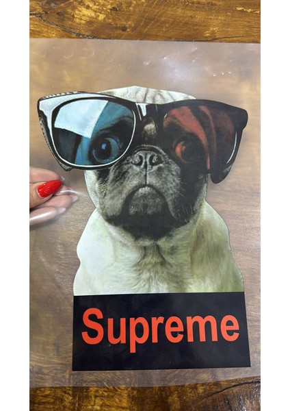 25X19 cm Ütü Ile Yapışan Köpek Transfer Baskı Arma fiyatları