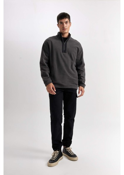 Relax Fit Dik Yaka Fermuarlı Polar Sweatshirt D2688AX24AU fiyatları