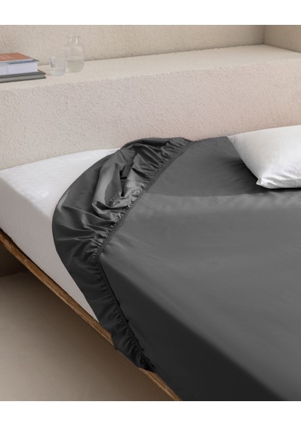Manon Tek Kişilik %100 Pamuk Ranforce Lastikli Çarşaf - Antrasit