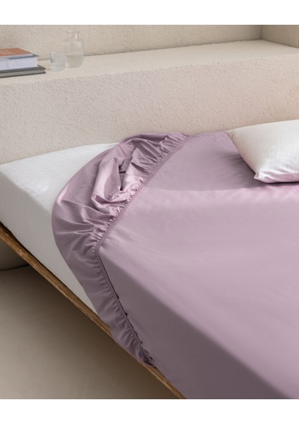 Manon King Size Plus %100 Pamuk Ranforce Lastikli Çarşaf - Açık Mürdüm