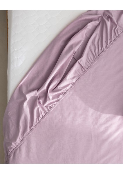 Manon King Size Plus %100 Pamuk Ranforce Lastikli Çarşaf - Açık Mürdüm fırsatları