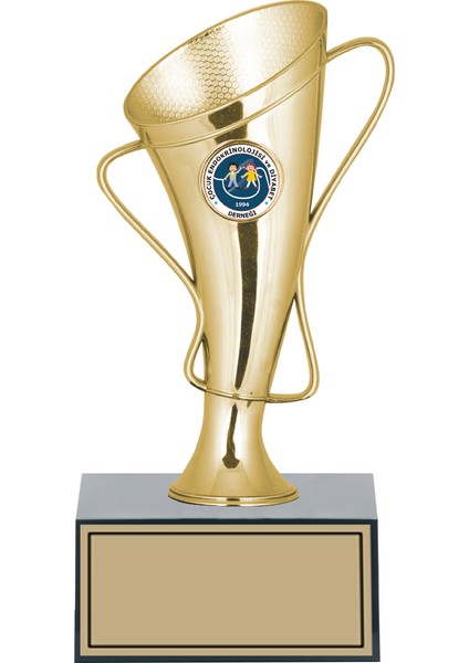 Kişiye Özel Kupa Takımı-Ödül Kupası-Turnuva Kupası 3'lü Takım GN137 fırsatları