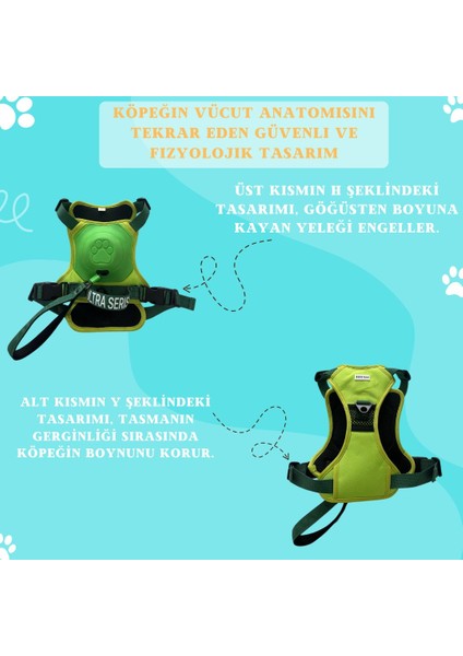 Köpek Tasması