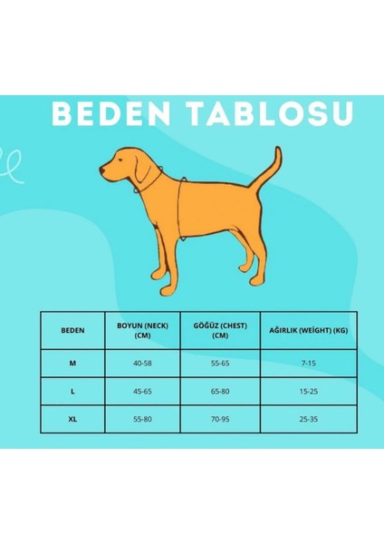 Köpek Tasması