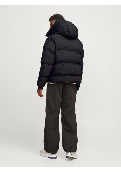 Alpha Puffer Sn Şişme Erkek Mont Siyah 12261971 V1