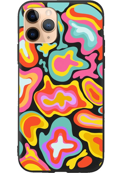 iPhone 11 Pro Lansman Kılıf - Colors 2