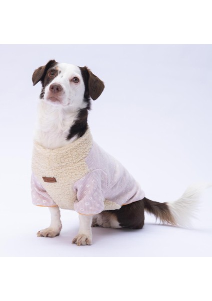 Daisy Papatya Desenli Yumuşak Kedi- Köpek Sweatshirt Kedi Köpek Kıyafeti Köpek Giysisi