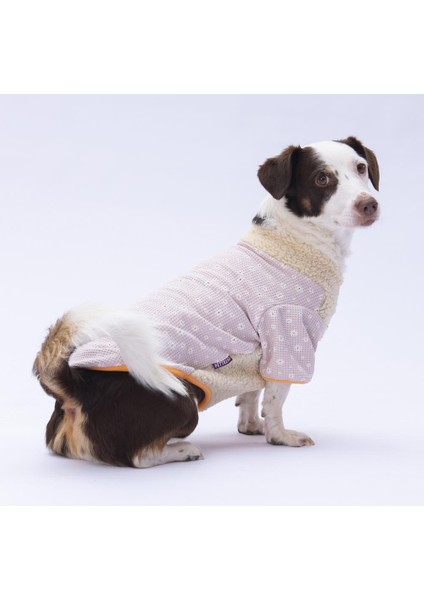 Daisy Papatya Desenli Yumuşak Kedi- Köpek Sweatshirt Kedi Köpek Kıyafeti Köpek Giysisi