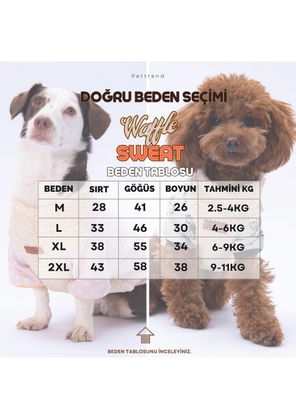 Daisy Papatya Desenli Yumuşak Kedi- Köpek Sweatshirt Kedi Köpek Kıyafeti Köpek Giysisi modelleri