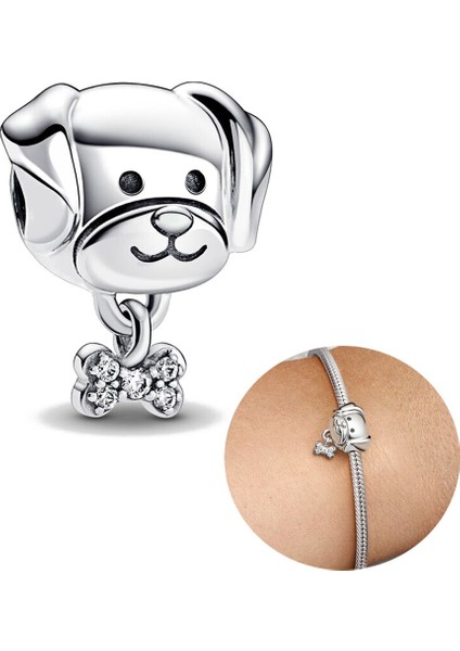 Köpek Charm