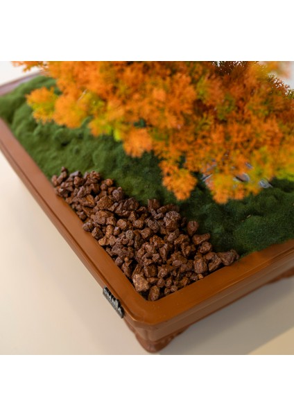 Atlas Bonsai-6-2 Masaüstü Kullanıma Uygun Doğal Ağaç Gövdeli Yapay Bonsai Ağacı - 50X60 cm modelleri