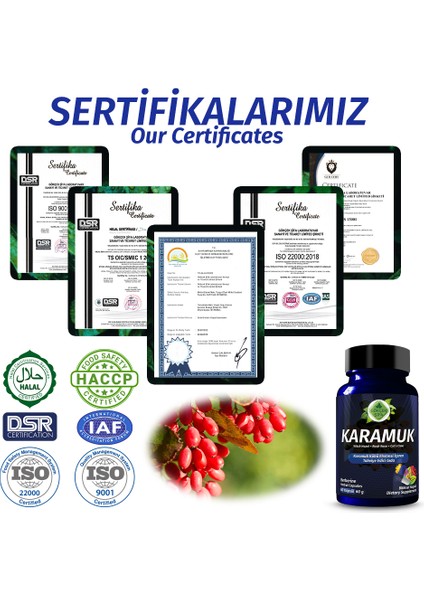 Karamuk Kapsül (BERBERİN CAPSULE)