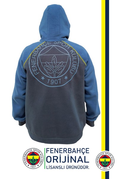 Orijinal Lisanslı Kapüşonlu Erkek Sweat modelleri