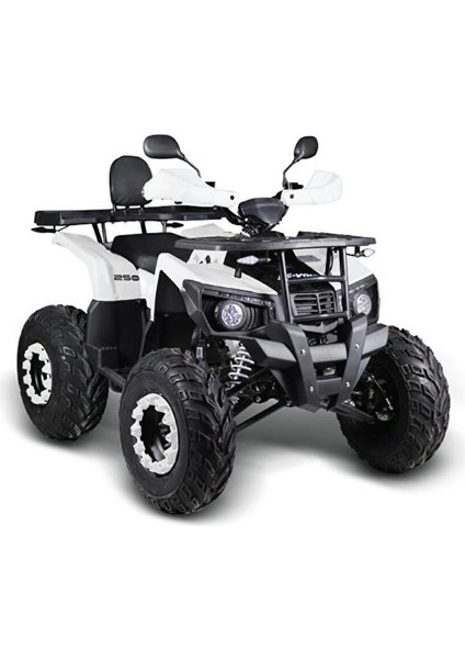 4M801-9900A-03 Ra5 Quadrıcycle Offroad Atv Beyaz