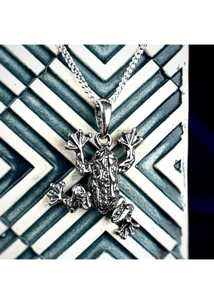 Gümüş Kurbağa Kolye 925 Ayar Gümüş Kurbağa Figürlü Unisex Kolye