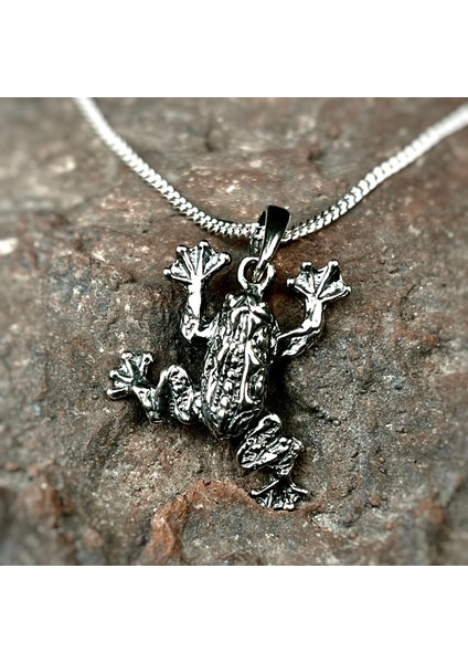 Gümüş Kurbağa Kolye 925 Ayar Gümüş Kurbağa Figürlü Unisex Kolye modelleri