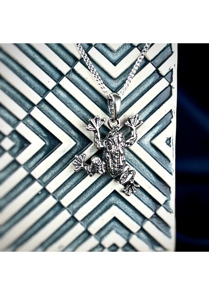 Gümüş Kurbağa Kolye 925 Ayar Gümüş Kurbağa Figürlü Unisex Kolye indirimleri