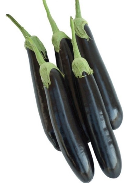 Patlıcan Aydın Siyah ( Çoklu Tohum ) - 5 Gram