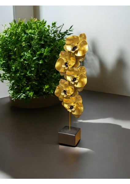 Orkide Biblo 571 C 4217