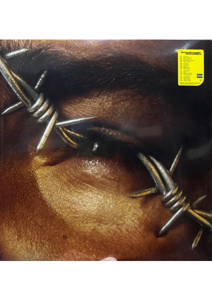 Post Malone – Beerbongs & Bentleys Rockstar Bu Albümde 2xlp (Plak)