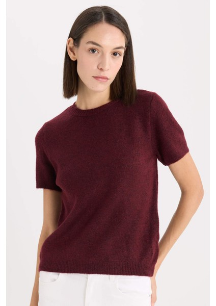 Regular Fit Bisiklet Yaka Basic Düz Triko Kısa Kollu Tişört Kazak E3214AX24WN