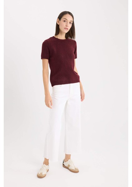 Regular Fit Bisiklet Yaka Basic Düz Triko Kısa Kollu Tişört Kazak E3214AX24WN