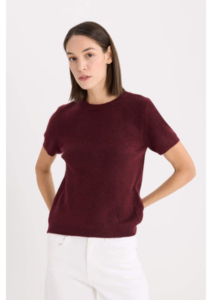 Regular Fit Bisiklet Yaka Basic Düz Triko Kısa Kollu Tişört Kazak E3214AX24WN