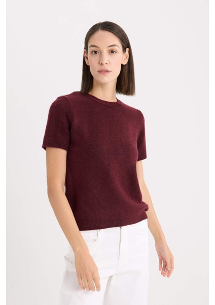 Regular Fit Bisiklet Yaka Basic Düz Triko Kısa Kollu Tişört Kazak E3214AX24WN