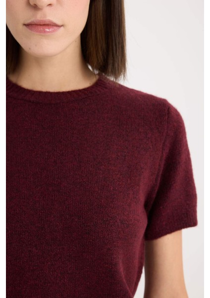 Regular Fit Bisiklet Yaka Basic Düz Triko Kısa Kollu Tişört Kazak E3214AX24WN