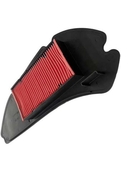 DYLN-102 Honda Dylan 150 Hava Filtresi