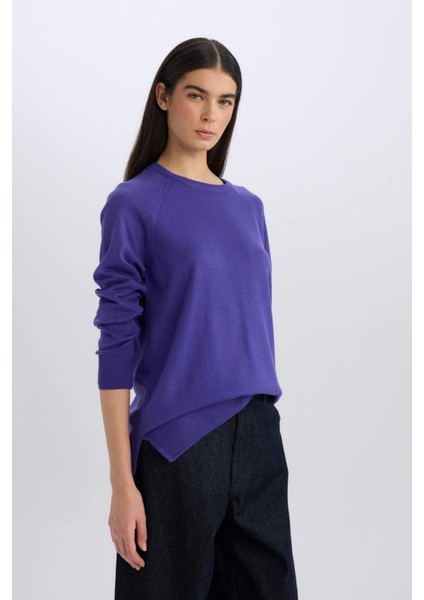 Regular Fit Yumuşak Dokulu Bisiklet Yaka Basic Düz Triko Kazak I6913AZ24WN