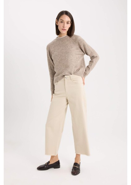 Regular Fit Bisiklet Yaka Basic Düz Triko Kazak D0035AX24WN