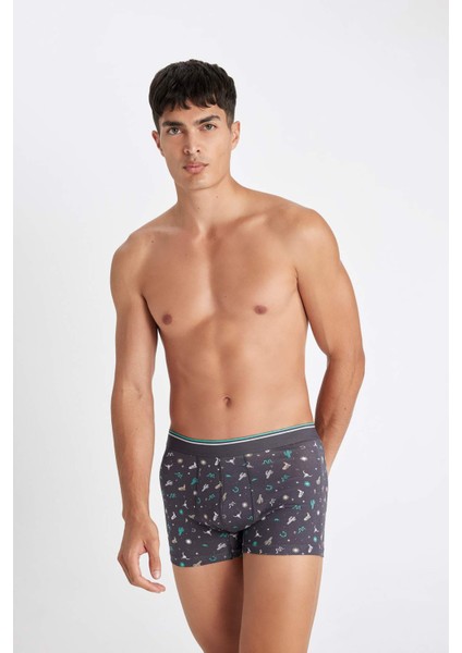 Erkek Desenli 3lü BOXER C9536AX24AU fiyatları