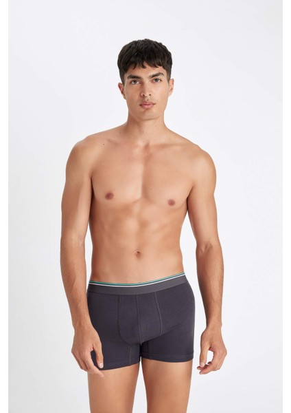 Erkek Desenli 3lü BOXER C9536AX24AU indirimleri