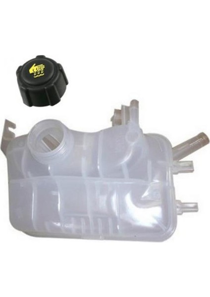 Mıta 07 015 211-GENLESME Kavanozu Renault Scenıc Iıı 217100005R