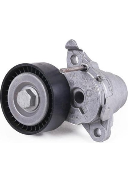 534048010-V Kayıs Gergı Rulmanı 1.5 Tsı T-Roc 04E145299L fiyatları