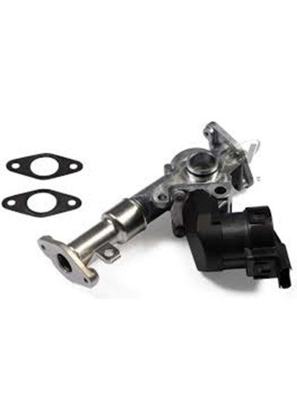 Pıerburg 7.24809.50.0-EGR Valfı N43 Bmw 316İ 320İ E90 E92 E93 11717563241